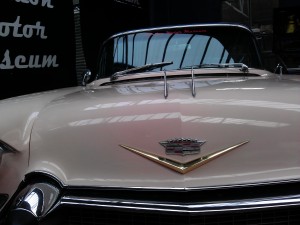 IMG_20121103_151808