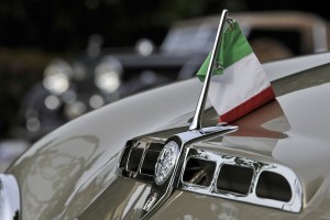 Concorse d'Elganza Group (17)