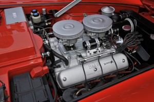 Concorse d'Elganza Group (22)