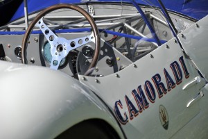 Concorse d'Elganza Group (27)